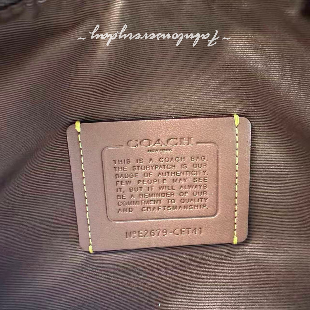 Coach Erin Shoulder Bag In Suede/Gold/Warm Brown CET41 NWT - Picture 10 of 10